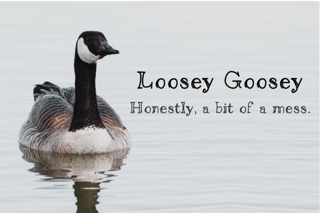 font banner for Loosey Goosey, a messy hollow lettered font
